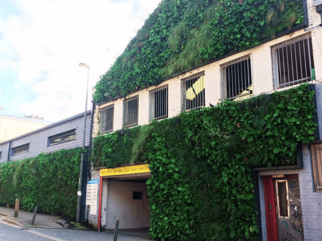 Parr Street green wall, Liverpool. Image: Liverpool City Council