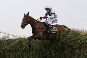 This year marks 10 years since Pineau De Re won the 2014 Grand National for trainer Dr Richard Newland and jockey Leighton Aspell. Image: Getty

