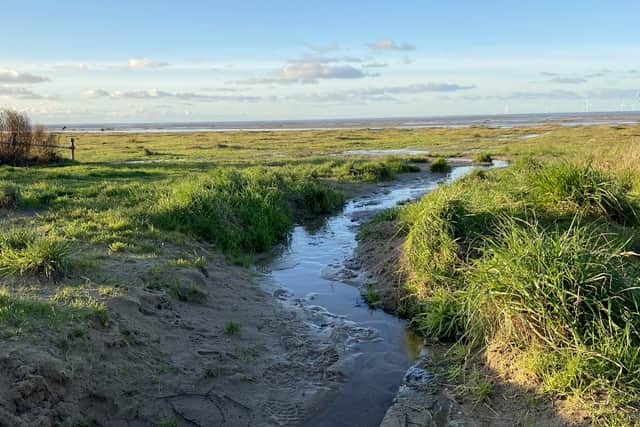Wirral Council faces a challenge to try and get plans, to clear part of Hoylake beach of vegetation