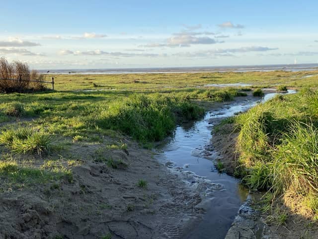 Wirral council faces a challenge to try and get plans, to clear part of Hoylake beach of vegetation