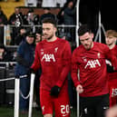 Liverpool pair Diogo Jota and Andy Robertson. (Photo by Andrew Powell/Liverpool FC via Getty Images)