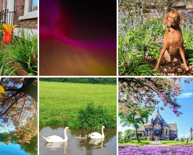 LiverpoolWorld readers captured stunning photos of Merseyside in spring. (From top left to bottom right: Steve Madden, Nathan Fairbrother, Paula Laven, Joel Jelen, Mike Evans and Kimberley Phillips)