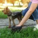 Worst places for dog poo in Wirral. Stock image by New Africa - stock.adobe.com