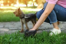 Worst places for dog poo in Wirral. Stock image by New Africa - stock.adobe.com
