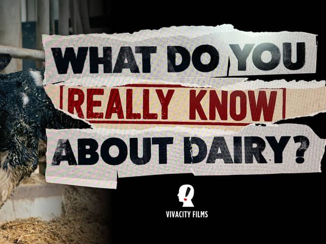 Viva!'s new documentary will be the UK's first to challenge decades of 'dairy industry spin'