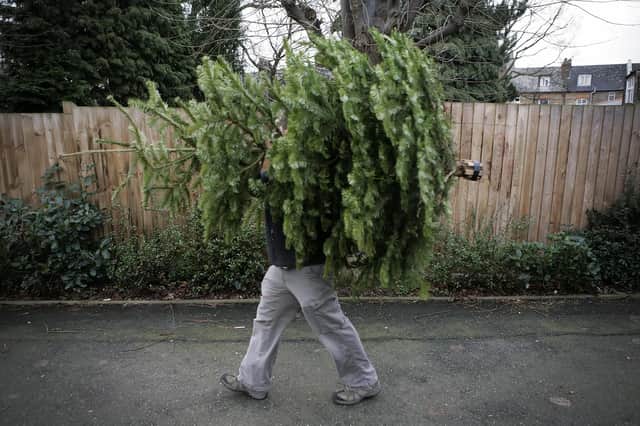 Residents will be able to drop off their real Christmas trees for recycling at locations across Liverpool. 