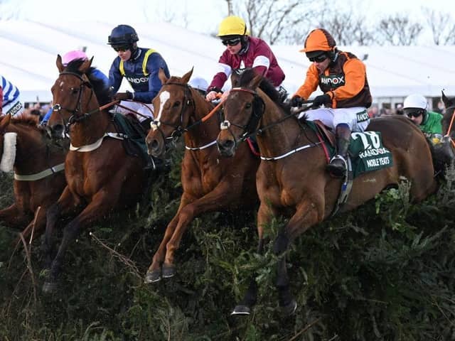 Waley-Cohen and Noble Yeats clear a fence in a nailbiting race. Picture by Getty