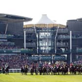 This year's Grand National will have a reduced field and a change to the start time