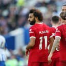 Brighton and Liverpool played out an entertaining 2-2 draw in the Premier League. (Photo by Steve Bardens/Getty Images)