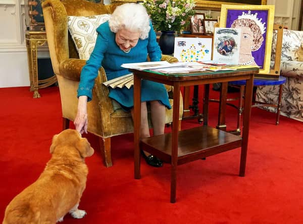 What will happen to the Queen's corgis? (photo: Getty Images)