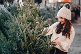 We take a look at some of the best places in the Merseyside district where you can buy a real Christmas tree.