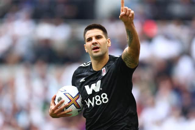 MARKET LEADER: Fulham striker Aleksandar Mitrovic. Photo by Clive Rose/Getty Images.