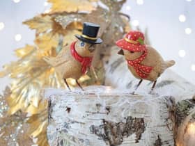 These Duckensian Birds are the perfect Christmas present!