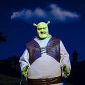 Josh Roberts as Shrek