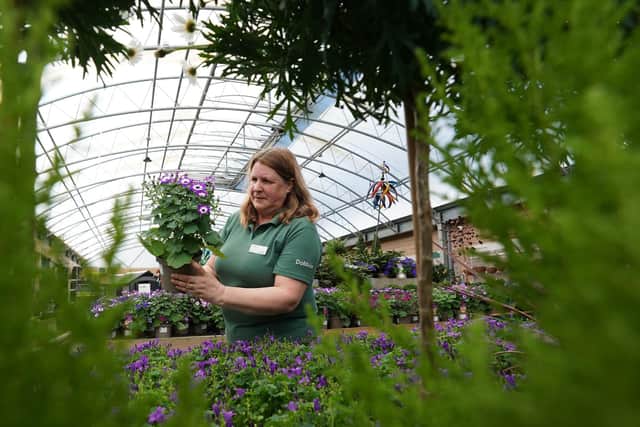 Dobbies’ Liverpool store July Grow How: Pest control for a healthy garden