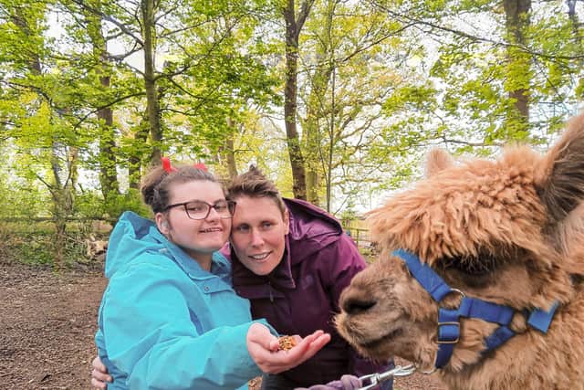 Autism charity offers the chance to sponsor and meet the animals on its ...