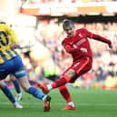 Max Woltman shoots during the Emirates FA Cup third round match between Liverpool and Shrewsbury Town at Anfield in January (photo by Clive Brunskill/Getty Images).