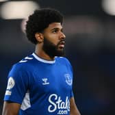 Sunderland are said to have made an approach to Everton about their former loanee.