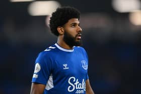 Sunderland are said to have made an approach to Everton about their former loanee.
